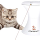 Image for article titled Stupid Shit I've Bought for My Cat in an Attempt to Make Her Love Me